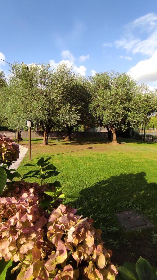 Gli Ulivi Rooms Лука Екстериор снимка